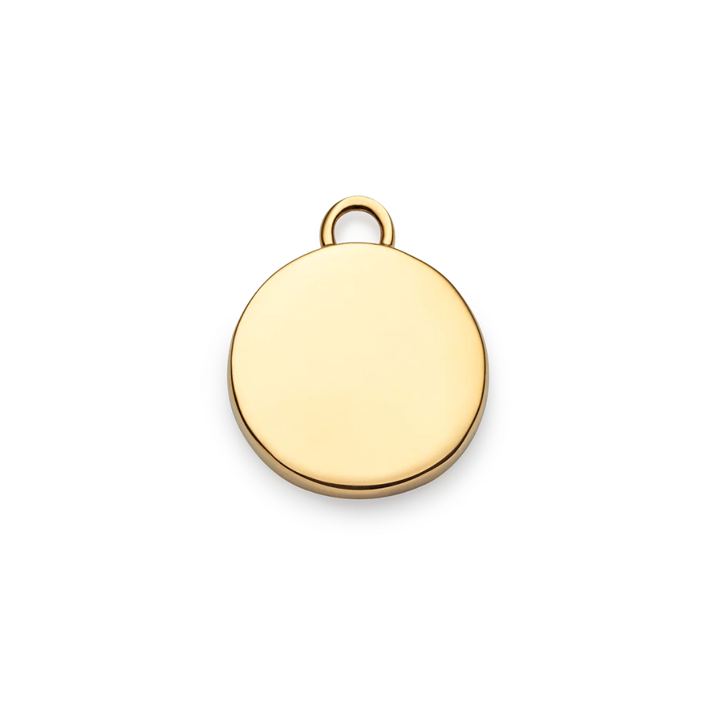 Aquarius Charm Gold - Image 3