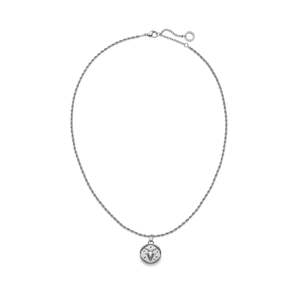Capricorn Charm Silber - Image 5