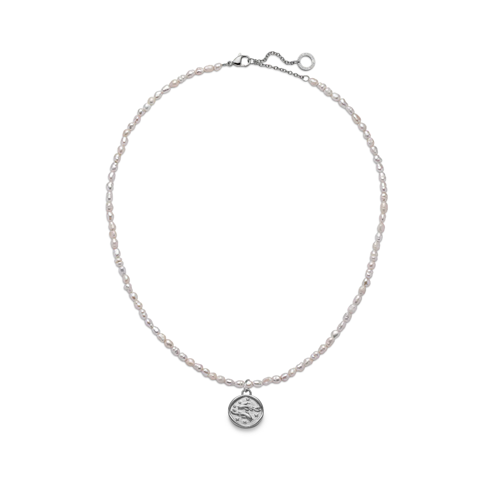 Pisces Charm Silber - Image 5