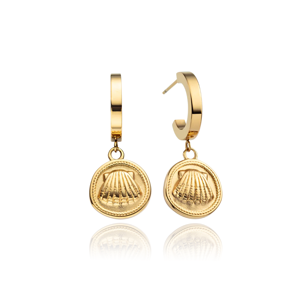 Scallop Coin Ohrring Gold