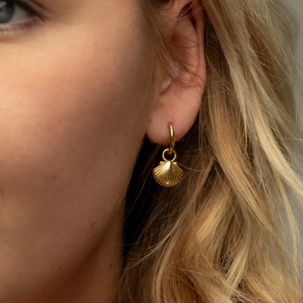 Scallop Ohrring Gold - Image 2