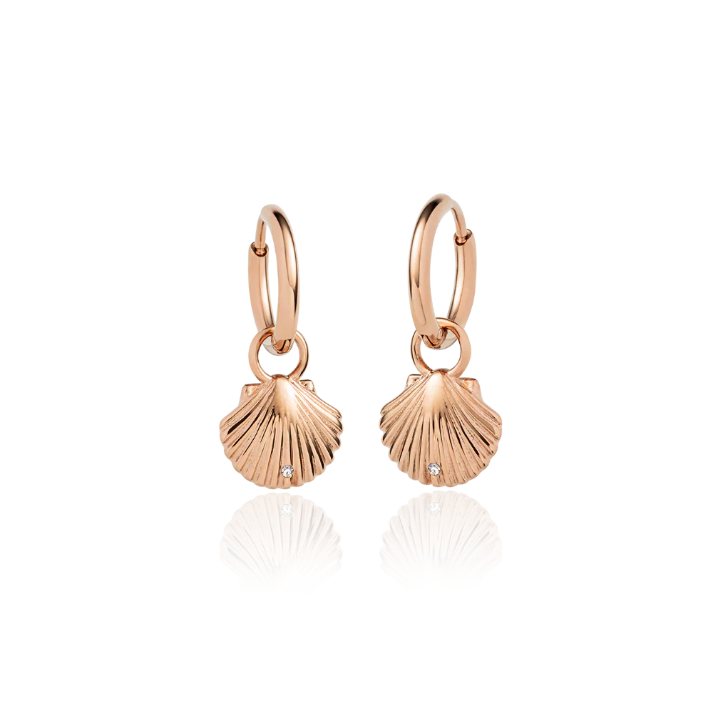 Scallop Ohrring Roségold