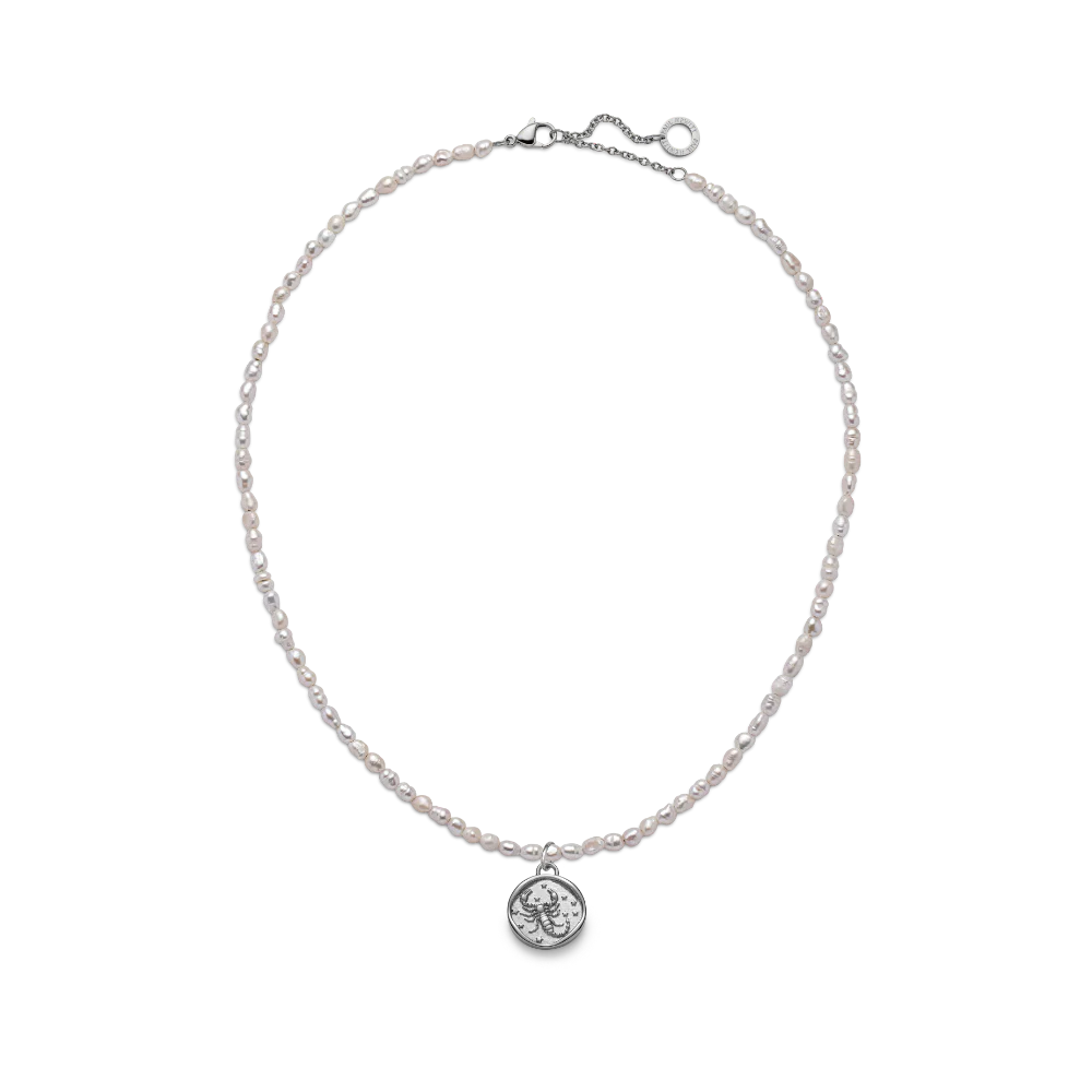 Scorpio Charm Silber - Image 5