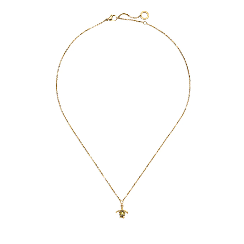 Set Turtle III Gold - Image 3