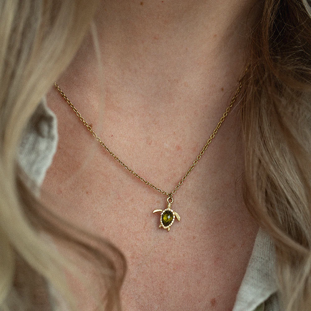 Set Turtle III Gold - Image 5