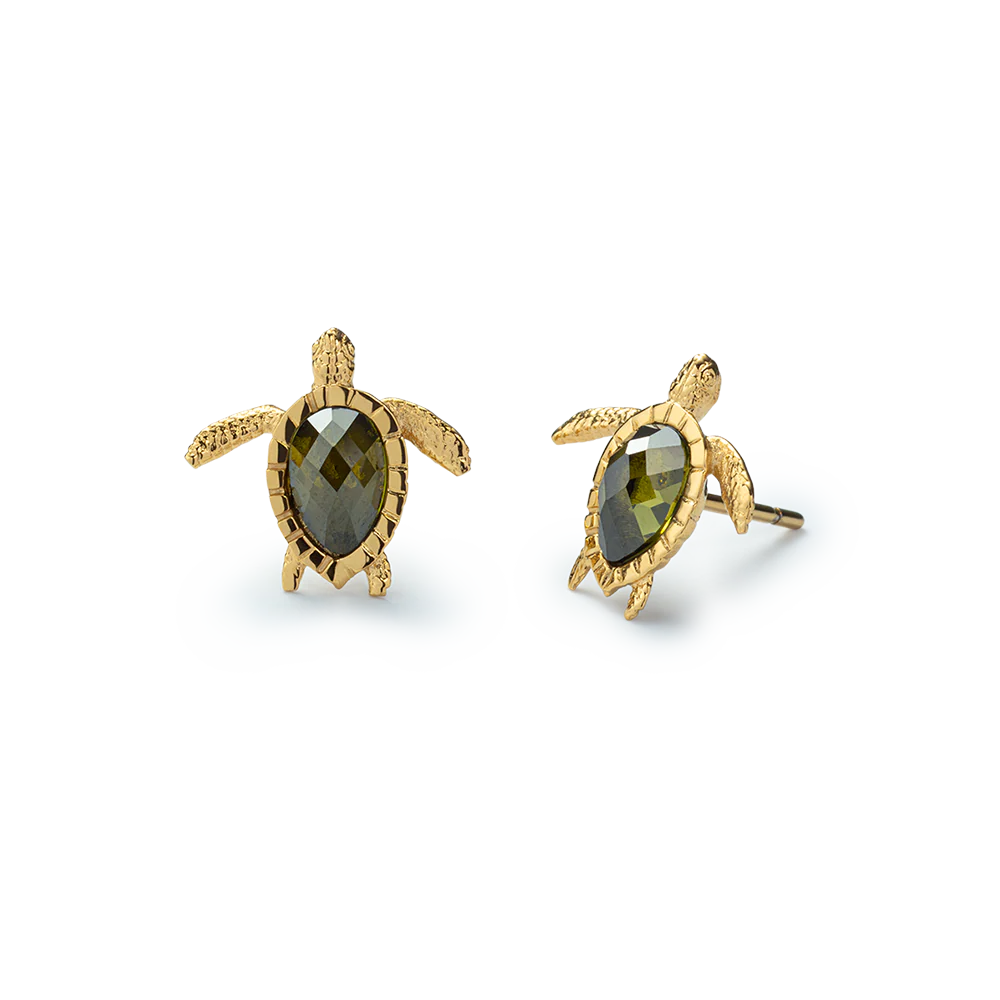 Set Turtle V Gold - Image 6