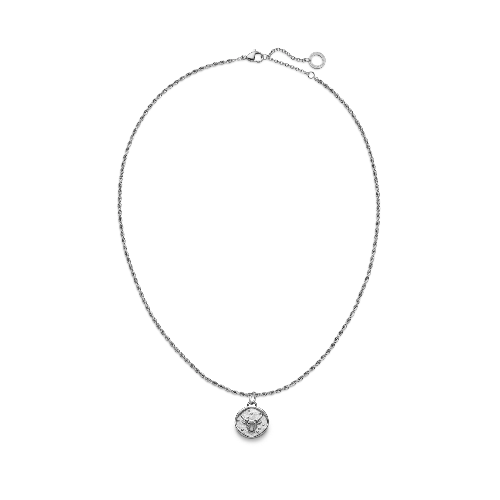 Taurus Charm Silber - Image 5
