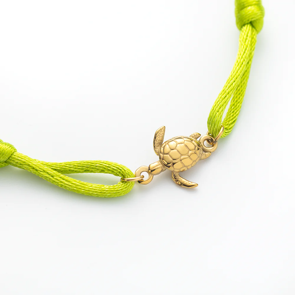 Turtle Band Seaweed Green - Image 3